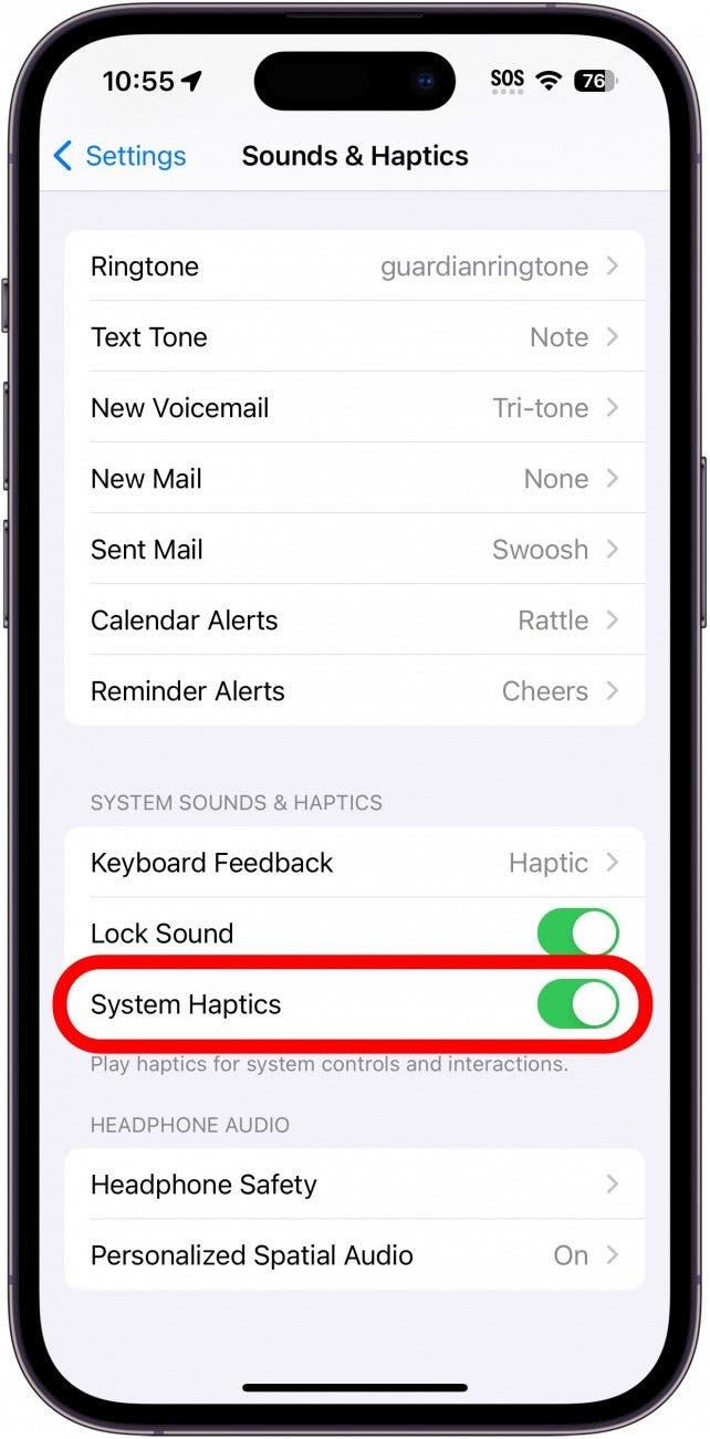 iphone sounds and haptics settings with system haptics toggle circled in red