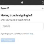 654545803