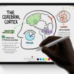 tips-for-drawing-with-an-apple-pencil-