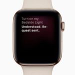 how-to-use-raise-to-speak-on-apple-watch-